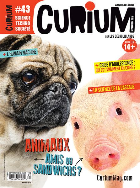 Magazine Curium de Éditions Bayard