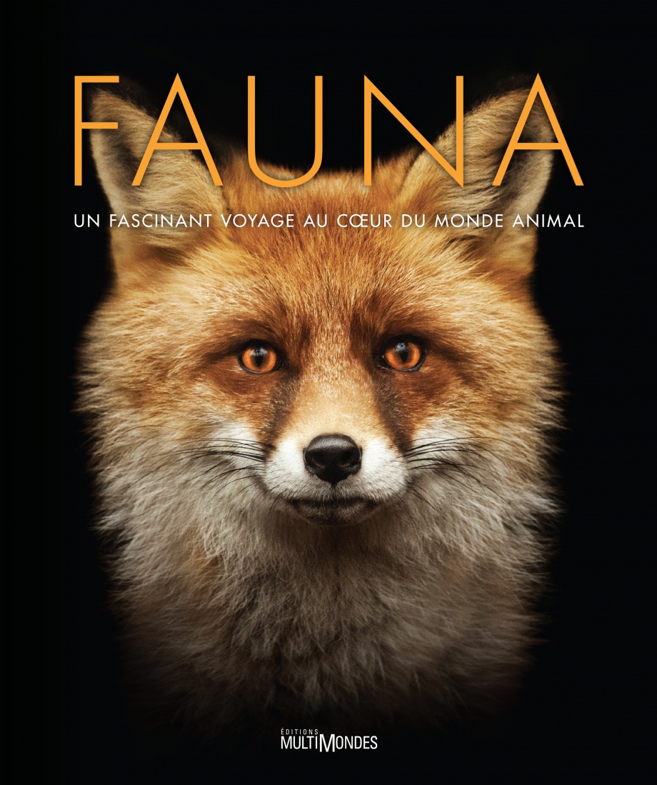 Fauna : un fascinant voyage au cœur du monde animalier de Jamie Ambrose