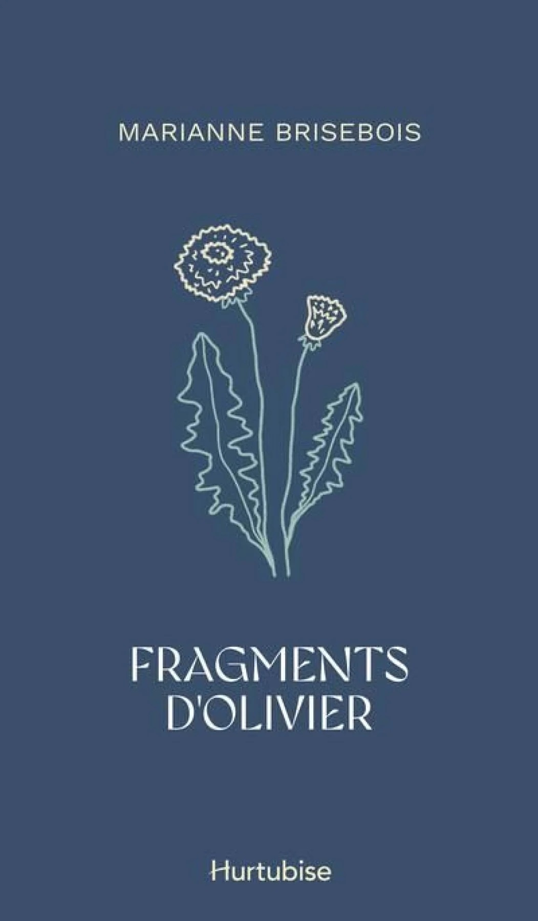 Fragments d'Olivier par Marianne Brisebois